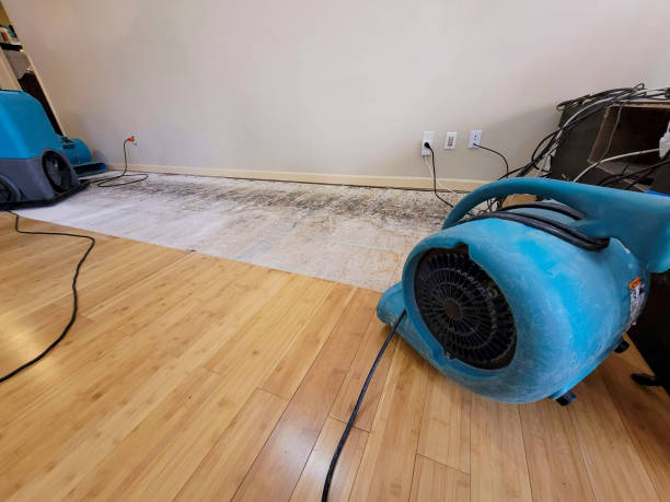 Reliable Emergency Water Removal contractor in Quincy, OH by Hirex Water Damage